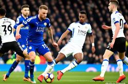 开云体育APP下载-莱斯特城主场告捷，保级任务基本完成的简单介绍