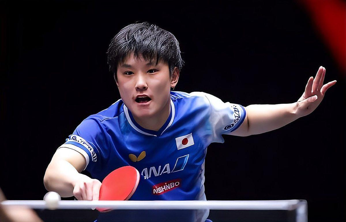 波兰乒乓球队碾压瑞典乒乓球队，张本智和制霸全场的简单介绍